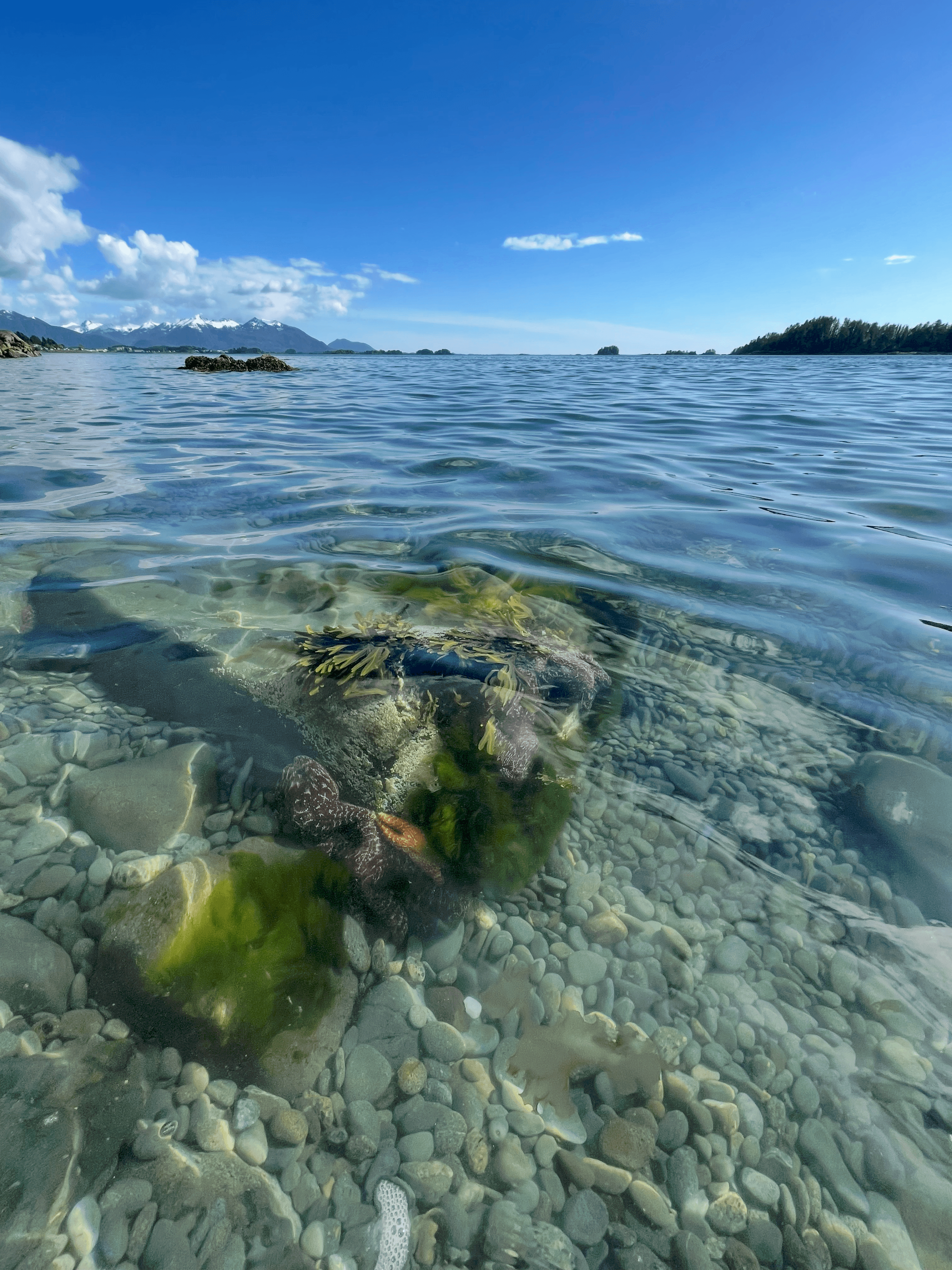 Crystalline waters in Sitka.